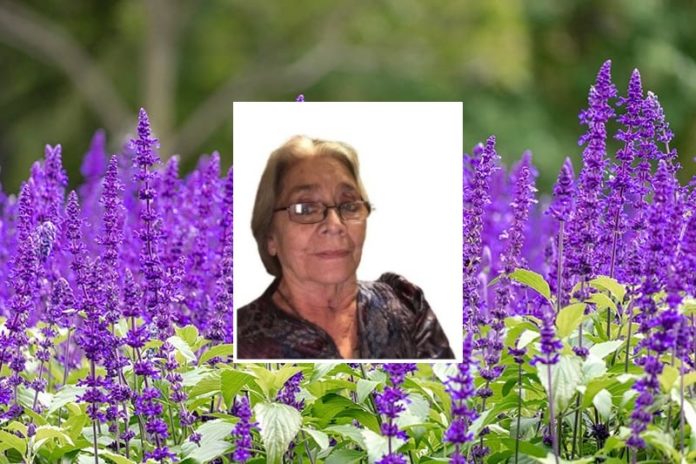 Constance Sue Gutmann