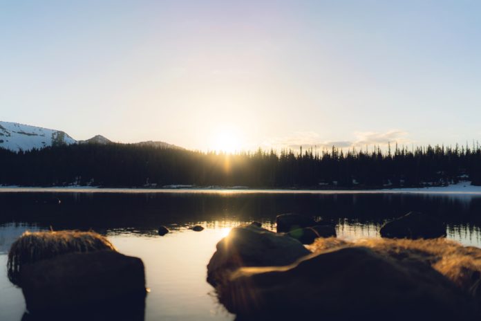 clint-mckoy-DOOQmatAFZE-unsplash-1