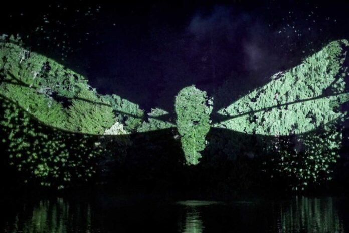 nightvisions-dragonfly-1