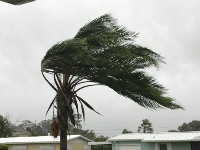 hurricane-winds-2021-09-03-22-52-03-utc