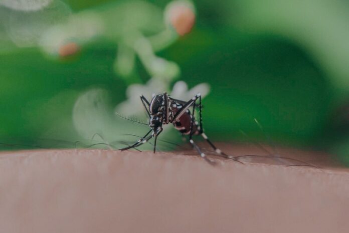 west-nile-virus