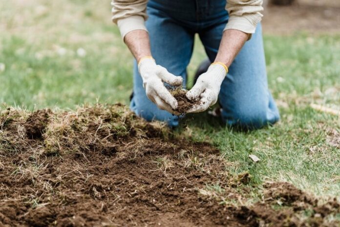 gardening