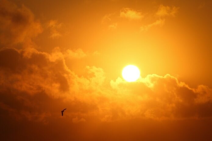 sun-2