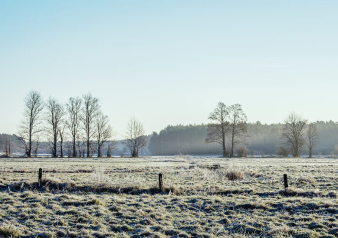 Morning Frost in Gorajec, Poland