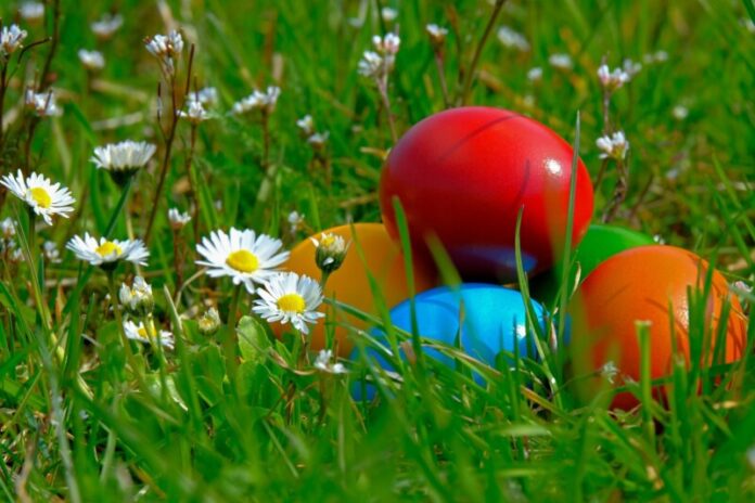 Easter-Egg-Stock-Photo