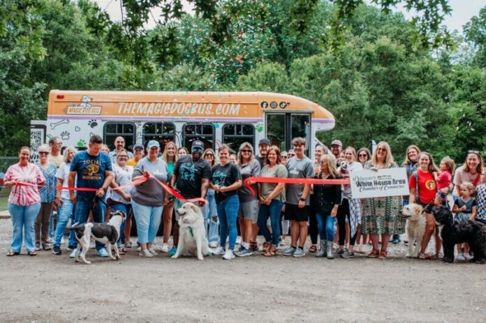 The-Magic-Dog-Bus The Magic Dog Bus