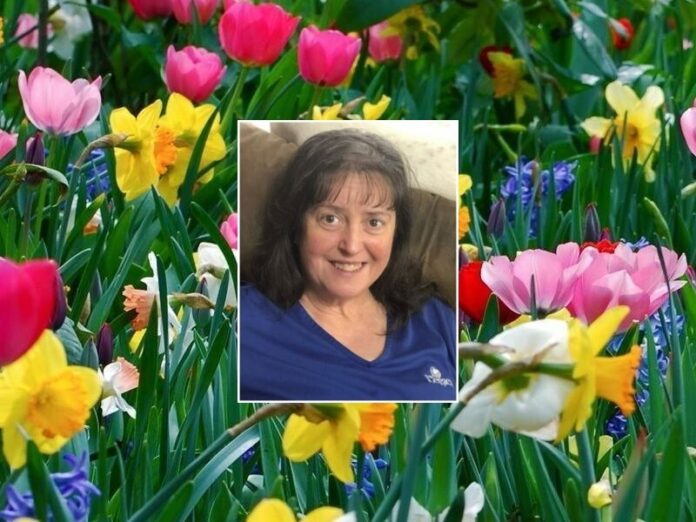 Linda Ann Engelmann Lambert Linda-Ann-Engelmann-Lambert
