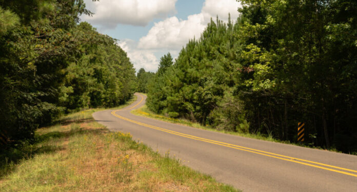 Long Windy Road Through National Forest Land USA North America