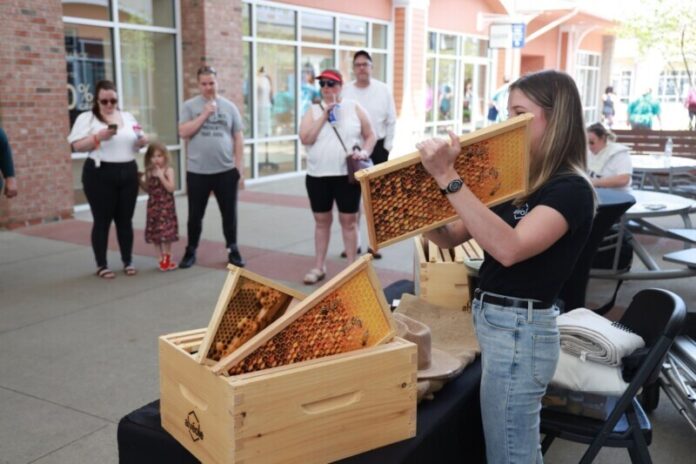 Tanger-Pitt-Bee-Workshop-9
