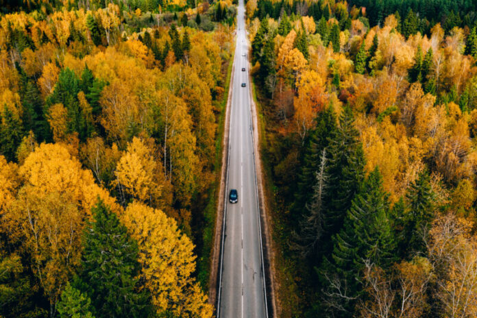 Aerial top view of road with car through fall forest with colorf