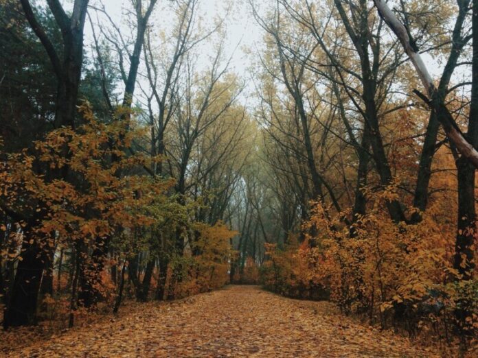 Processed with VSCOcam with c8 preset