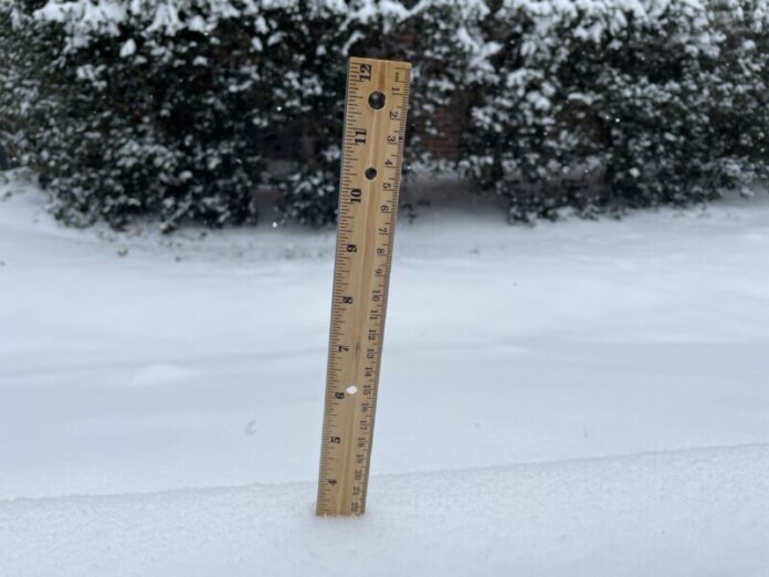 Donna-Vissman-Snow-2024-41