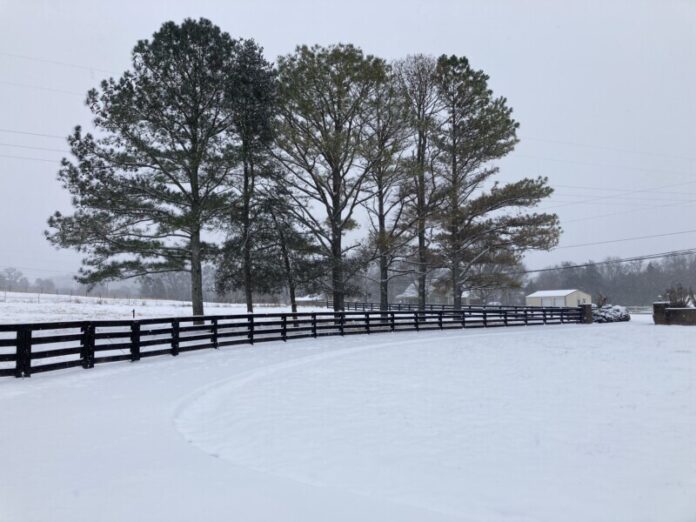 Mary-Dohoney-Snow-Day-91