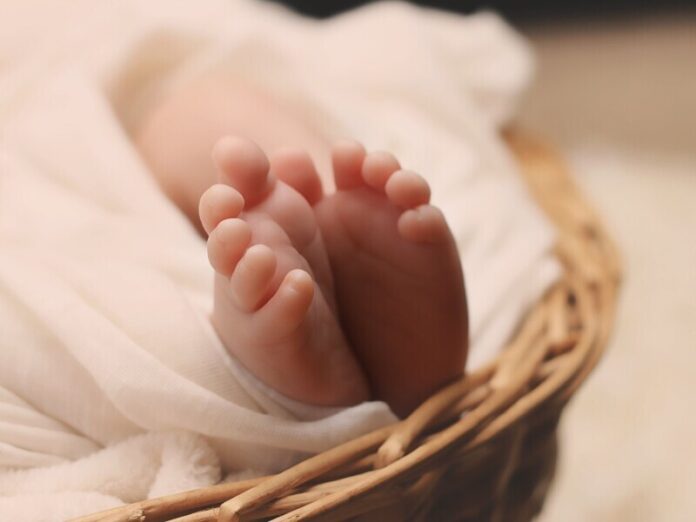 Newborn-Baby-Stock-BeFunky