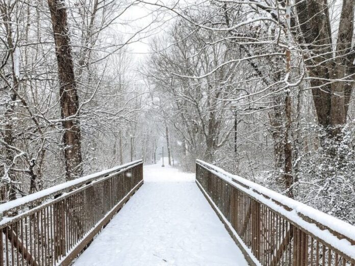 snowdayjan11-3-e1610387932968 winter weather tennessee