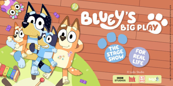 bluey