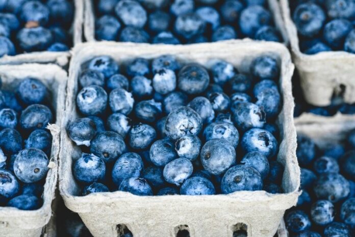 blueberries stock photo blueberries stock photo