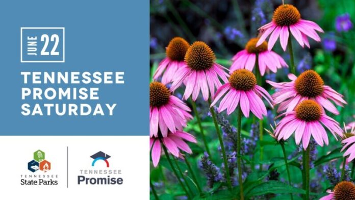 tennessee-state-parks-tennessee-promise-event-Photo-from-Tennessee-State-Parks-Facebook-Event