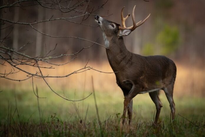James-Enos_The-Buck-Stops-Here