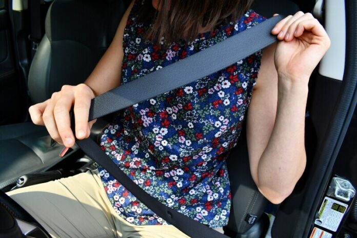 seatbelt stock photo