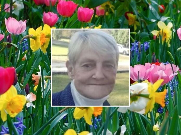 Velda-Louise-English