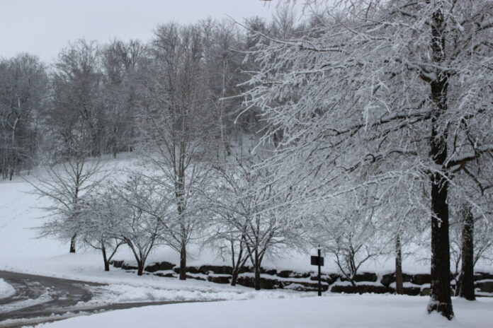 snow-photo-by-Jim-Wood-2