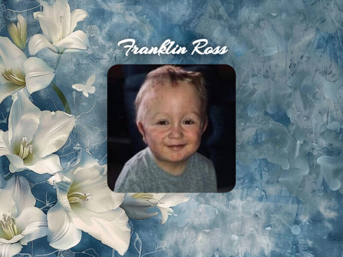 Franklin Ross Obituary Franklin Ross Obit