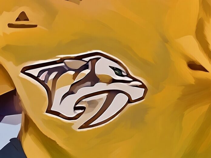 preds-jersey-closeup