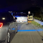 Man Wanted In Three Counties Arrested in Mt. Juliet