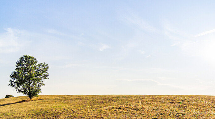 2/6/26: Clear Sky and Breezy, Temp Reaching 54, Tonight Overcast, Cooling to 36