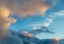 2/4/26: Overcast and Chilly at 31°F, Winds Reaching 13.4 mph