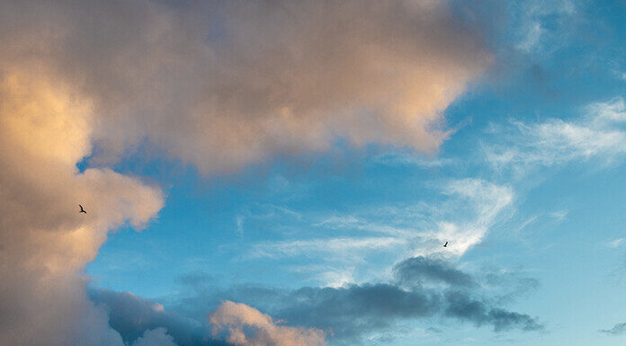 2/4/26: Overcast and Chilly at 31°F, Winds Reaching 13.4 mph