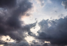 12/7/25: Overcast Day Peaks at 43.9, Evening Cools to 41.9 with Light Winds