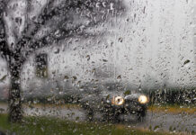 3/11/26: Light Drizzle and Mild Evening at 65°F, Winds Up to 16 mph