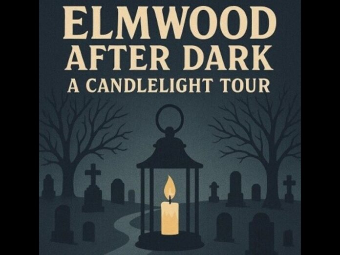 elmwood after dark