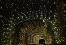 Holiday Lights Open at Cheekwood on November 21