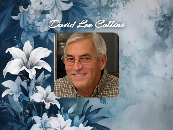 David Lee Collins Obituary David Lee Collins Obit
