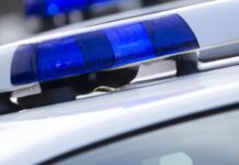 Human Remains Found Near Springfield Creek Over Several Days