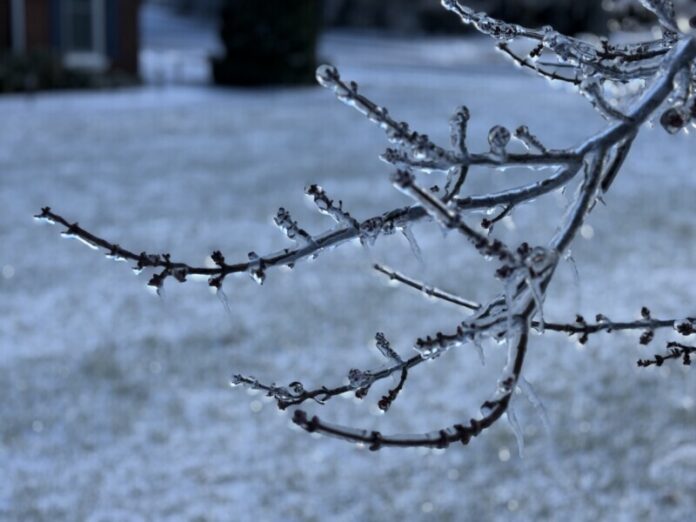 Winter-Storm_6587