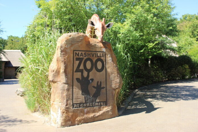 Nashville-Zoo-4