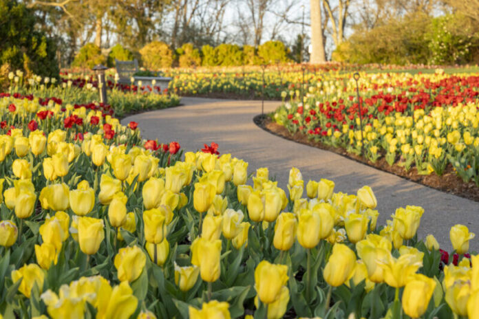 Cheekwood in Bloom 2023.