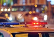 Infant Dies After Dog Attack In Portland, Investigation Ongoing