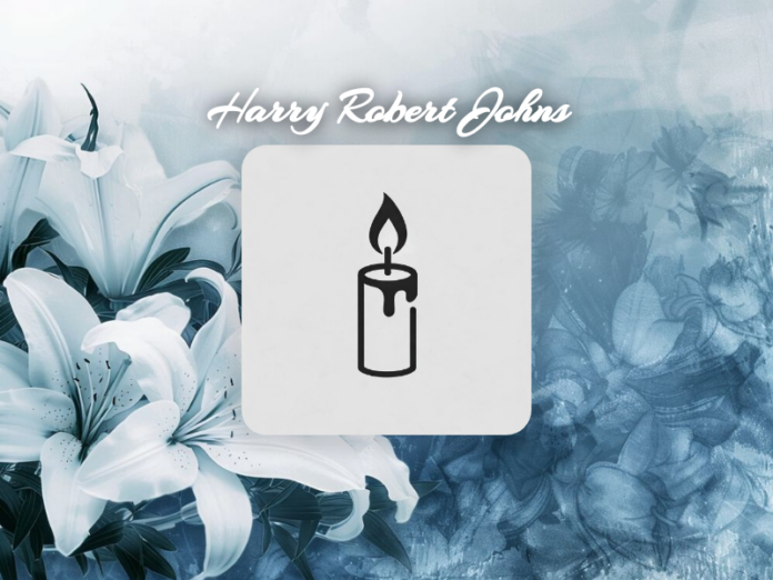 harry-robert-johns-1