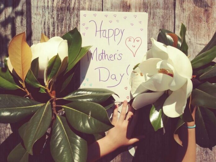 mothers day karolina-bobek-eoR84jjW1oo-unsplash