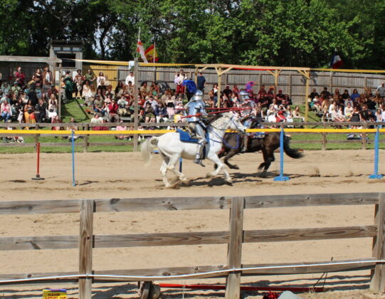 tennessee renaissance festival 2026