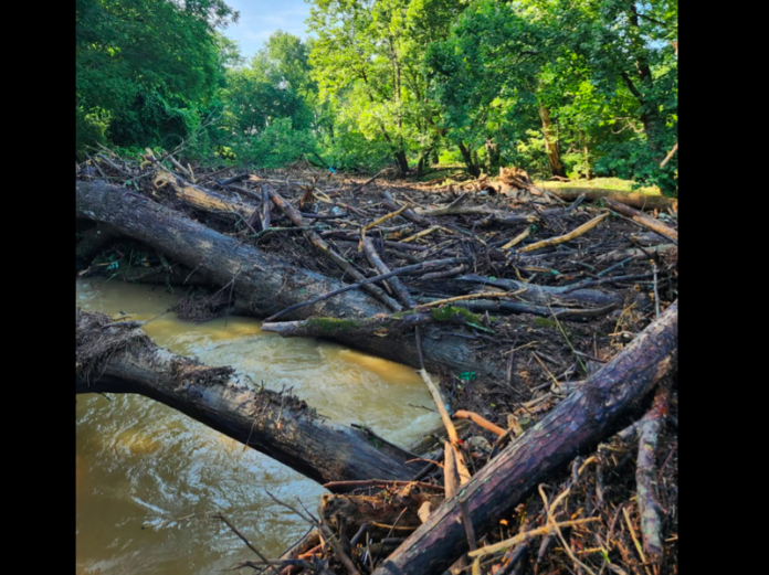 Springfield Greenway Temporarily Closed After Flooding