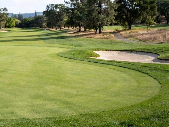 golf green ai golf