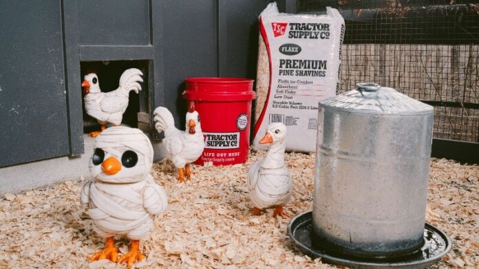 Tractor Supply kicks off spooky season with Halloween Out Here collection.