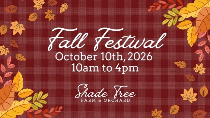 Fall Festival Fall-Festival