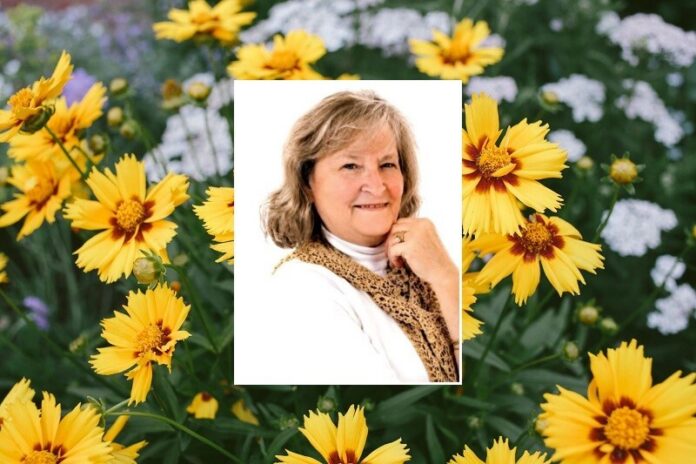 Judy Boyd Corbitt Judy-Boyd-Corbitt
